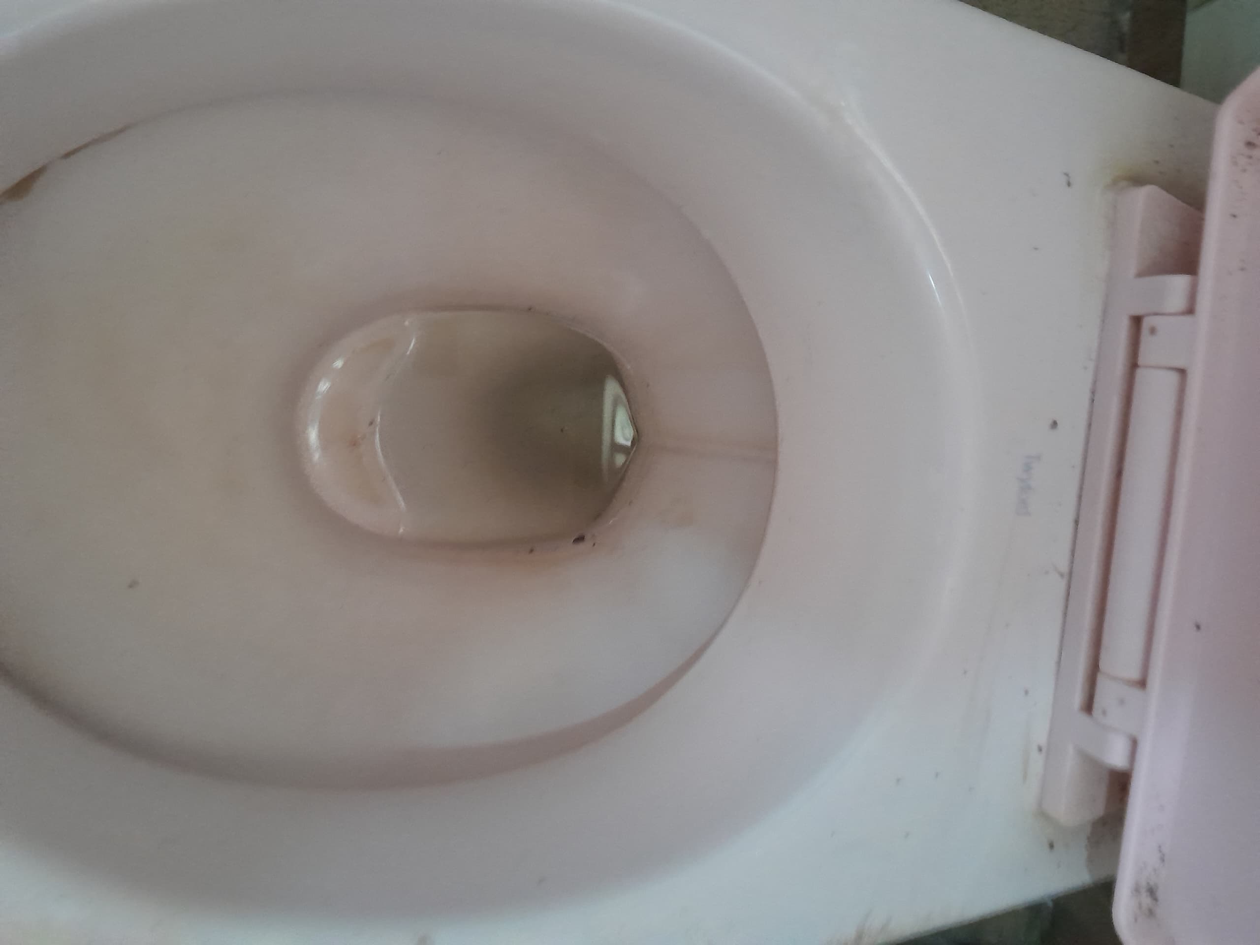 cleaning