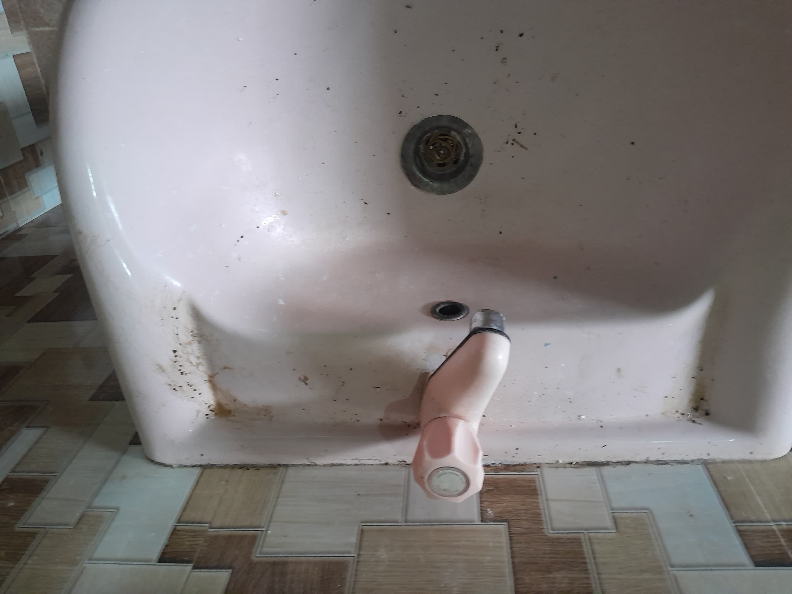 cleaning